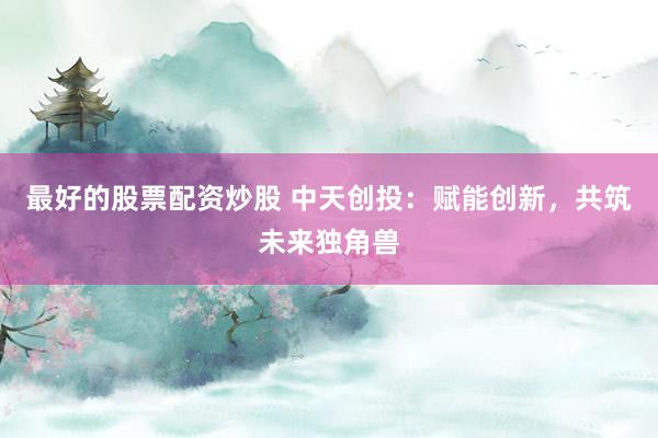 最好的股票配资炒股 中天创投：赋能创新，共筑未来独角兽