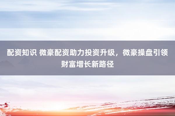 配资知识 微豪配资助力投资升级，微豪操盘引领财富增长新路径
