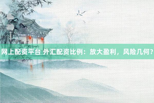 网上配资平台 外汇配资比例：放大盈利，风险几何？