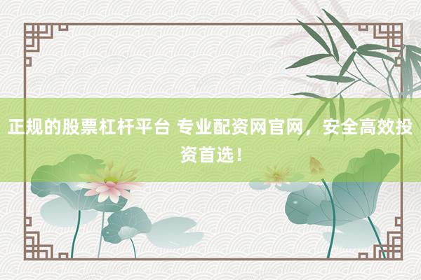 正规的股票杠杆平台 专业配资网官网，安全高效投资首选！