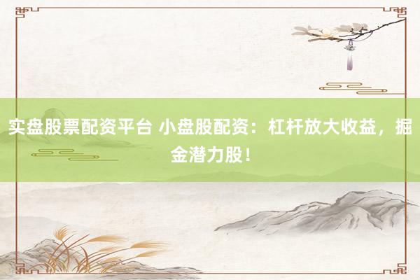 实盘股票配资平台 小盘股配资：杠杆放大收益，掘金潜力股！