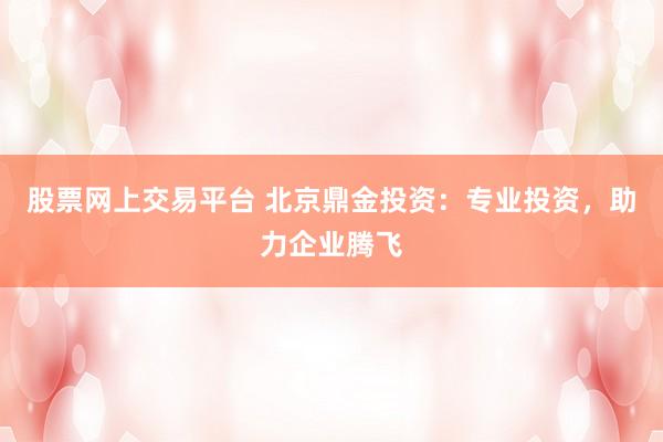 股票网上交易平台 北京鼎金投资：专业投资，助力企业腾飞