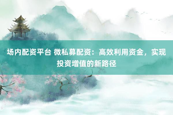 场内配资平台 微私募配资：高效利用资金，实现投资增值的新路径