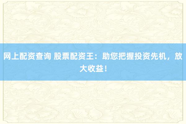 网上配资查询 股票配资王:助您把握投资先机,放大收益!
