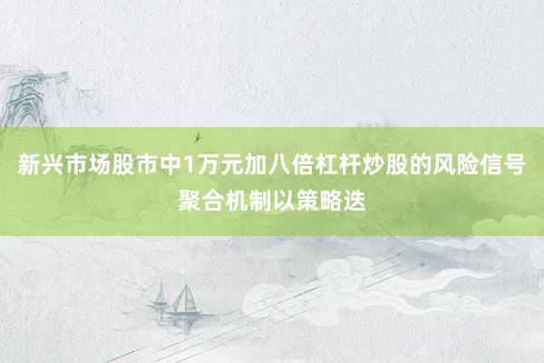 新兴市场股市中1万元加八倍杠杆炒股的风险信号聚合机制以策略迭