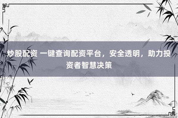 炒股配资 一键查询配资平台，安全透明，助力投资者智慧决策
